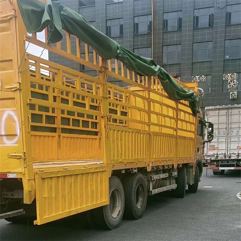 牡丹区兰州市物流运输：多元服务与高效线路探秘